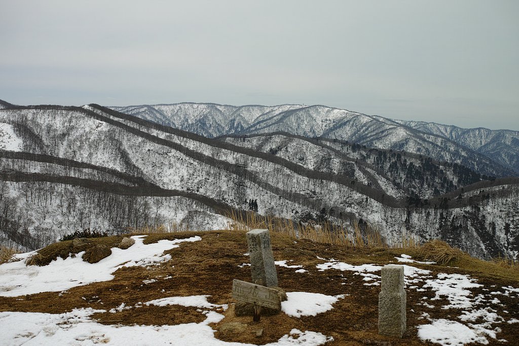 赤坂山