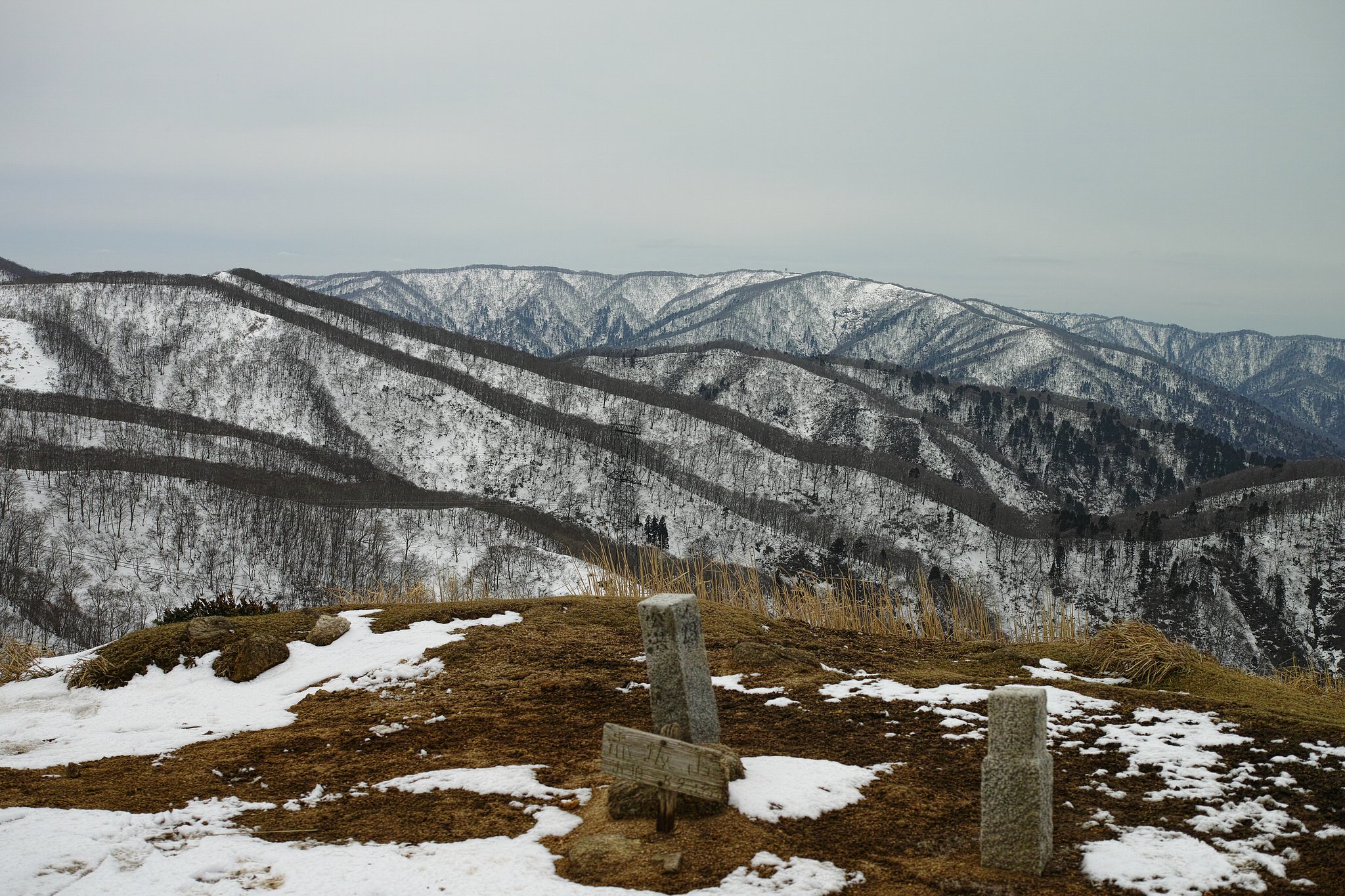 赤坂山