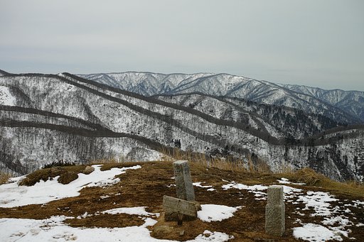 赤坂山