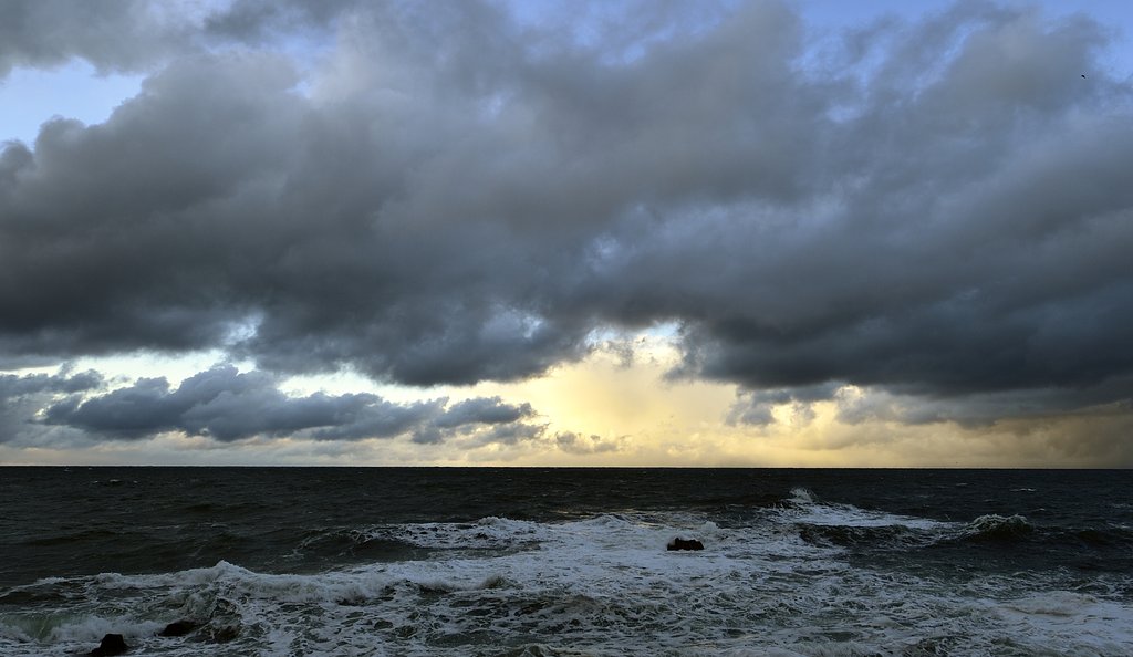 今日の海