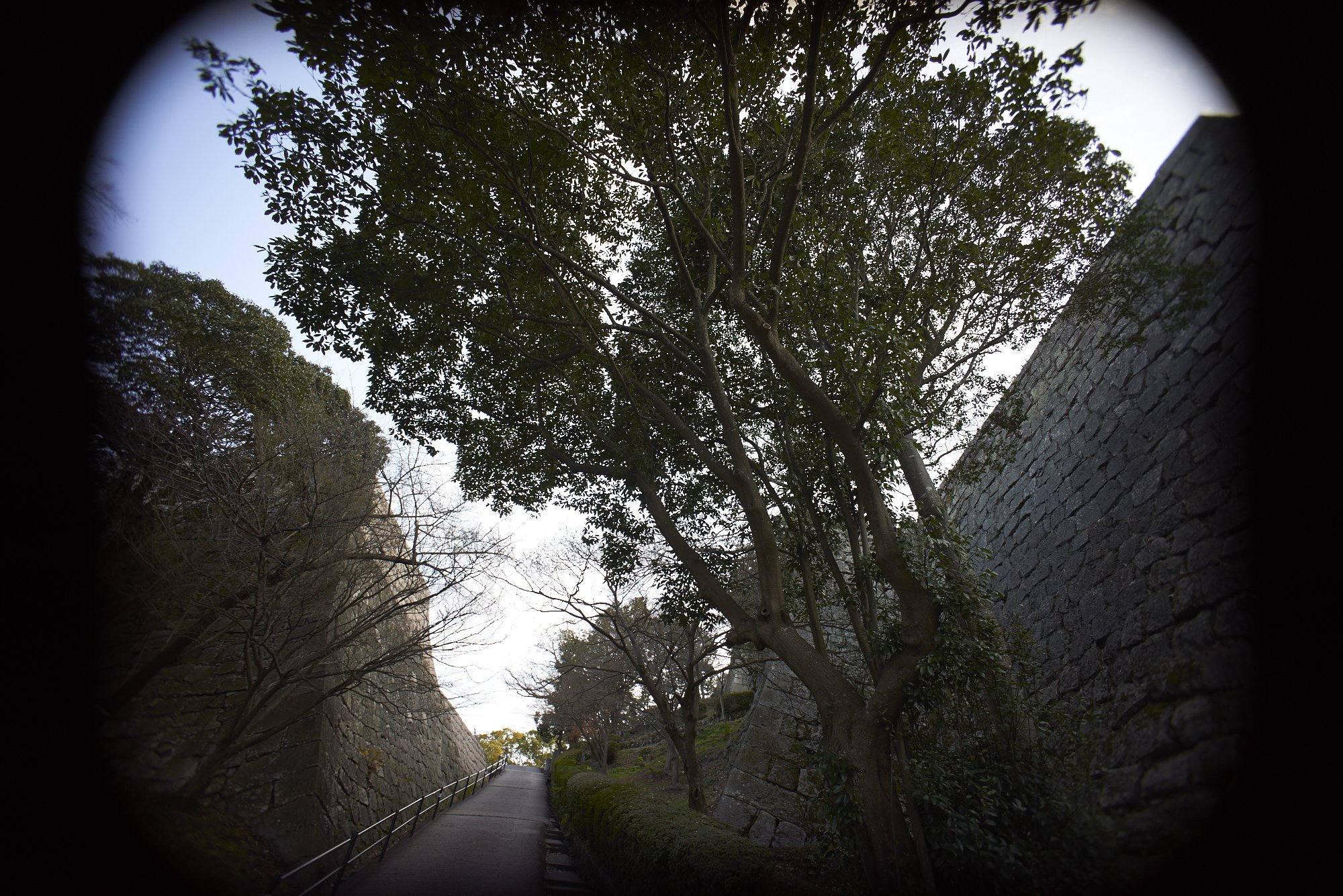 石垣の城