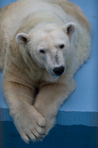 動物園