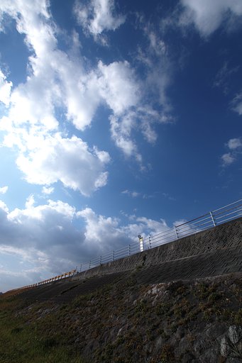 1月6日の写真
