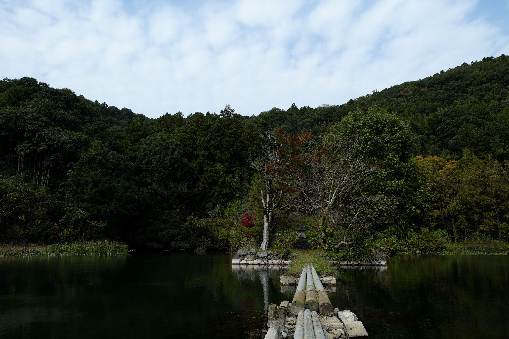 Fuji XF16-55