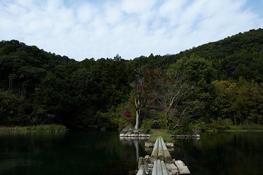 Fuji XF16-55