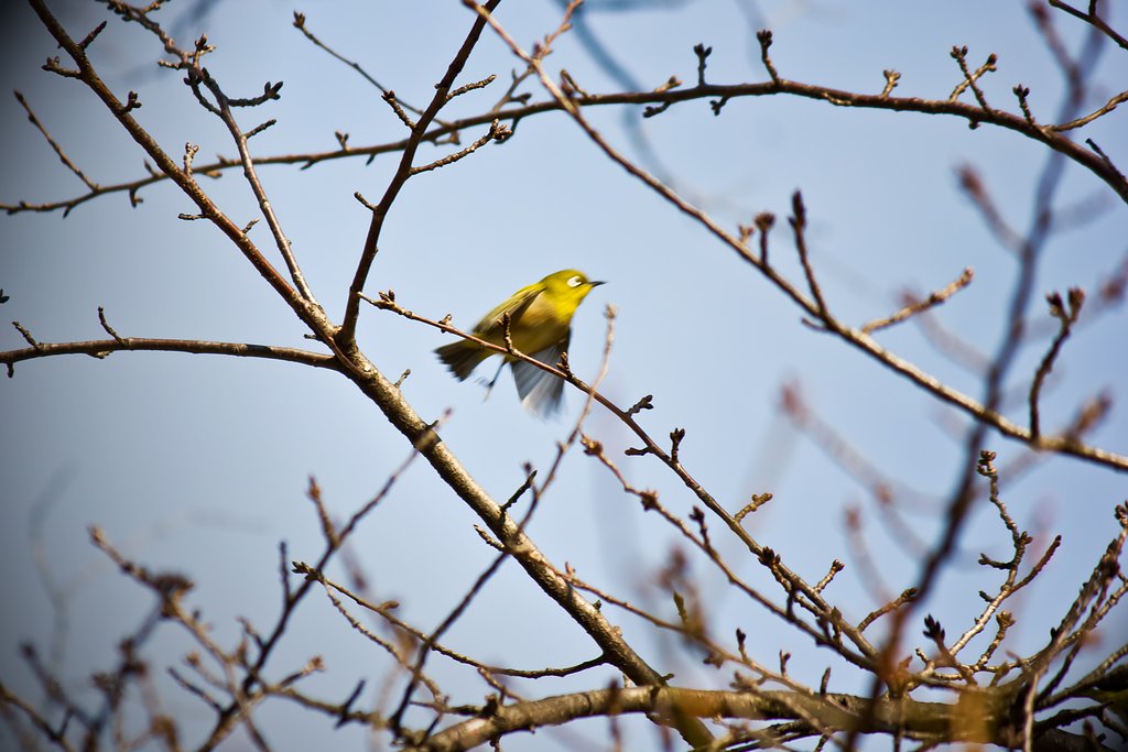 【動感】 ちょこまかちょこまか