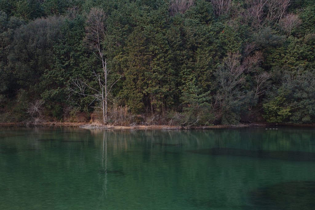 貯水池