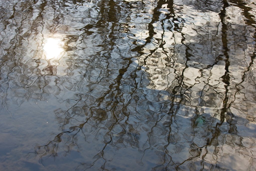 揺れ光る水面