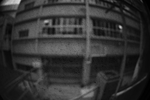 5D+魚眼