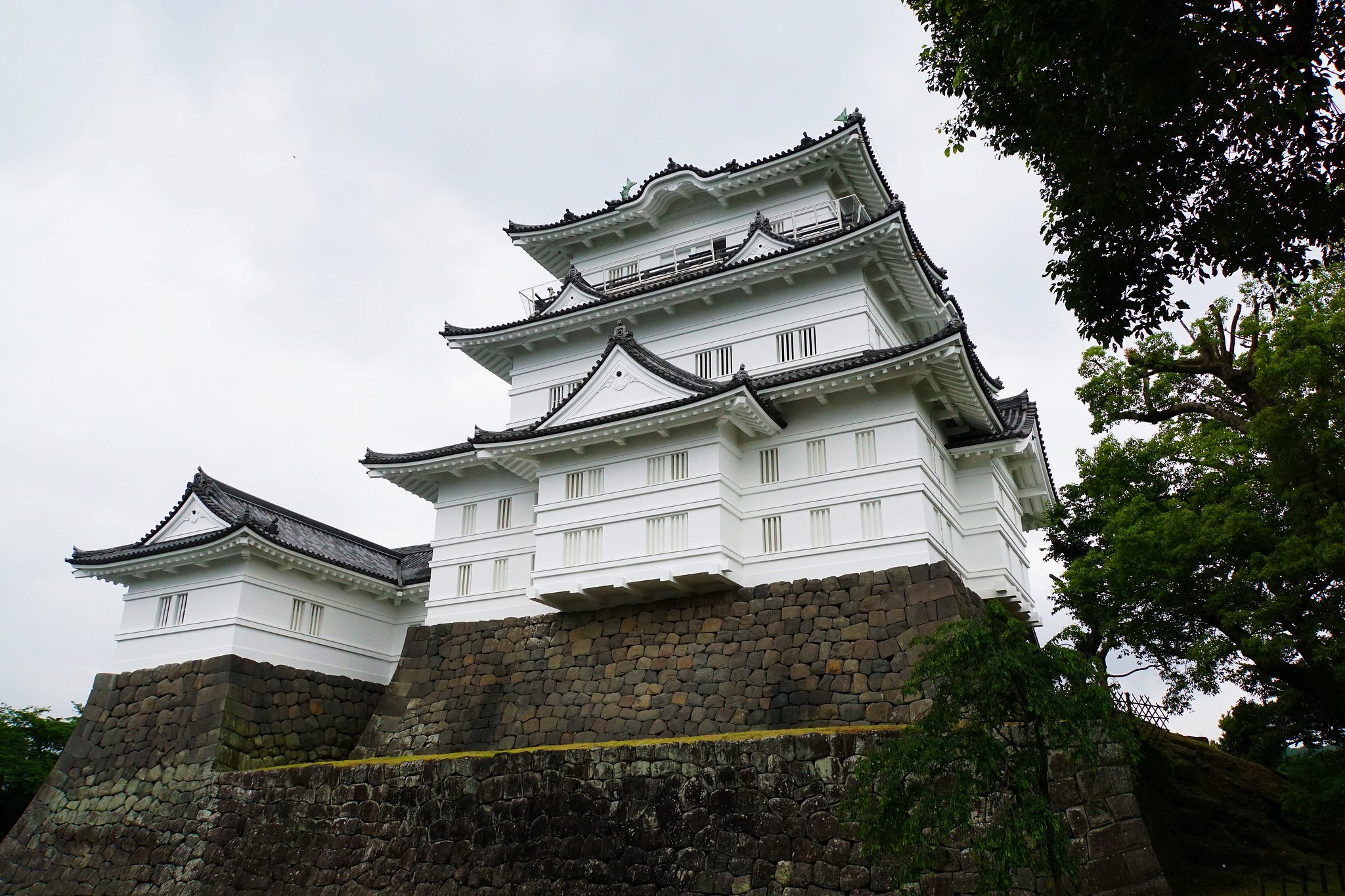 今、話題の小田原城