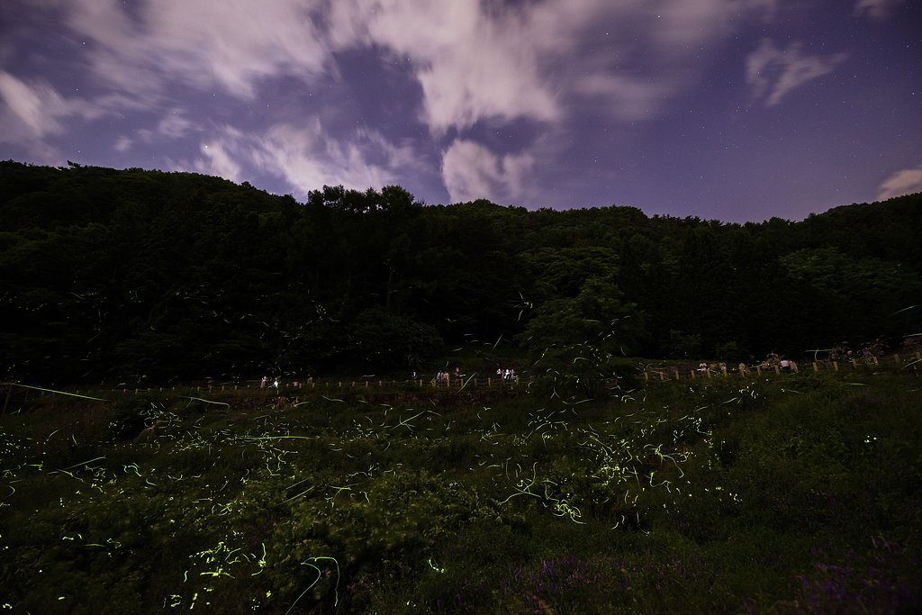 mission2：松尾峡の舞