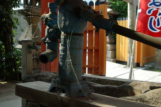 苦悩の余生