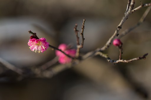EF100mm F2.8 L IS MACRO
