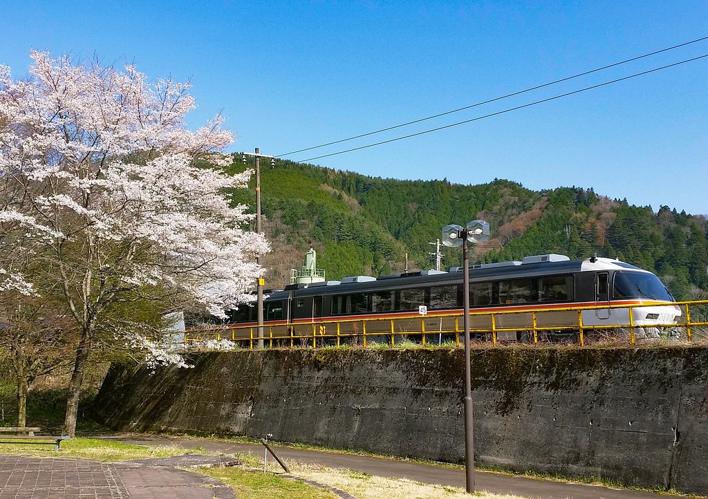 さくらと
