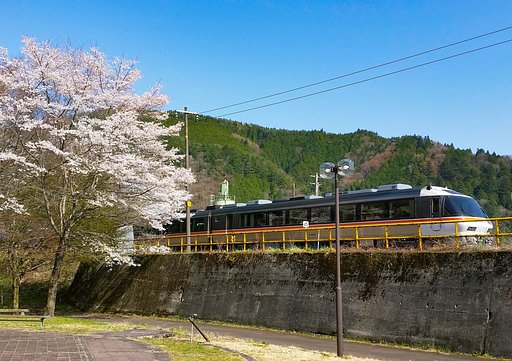 さくらと