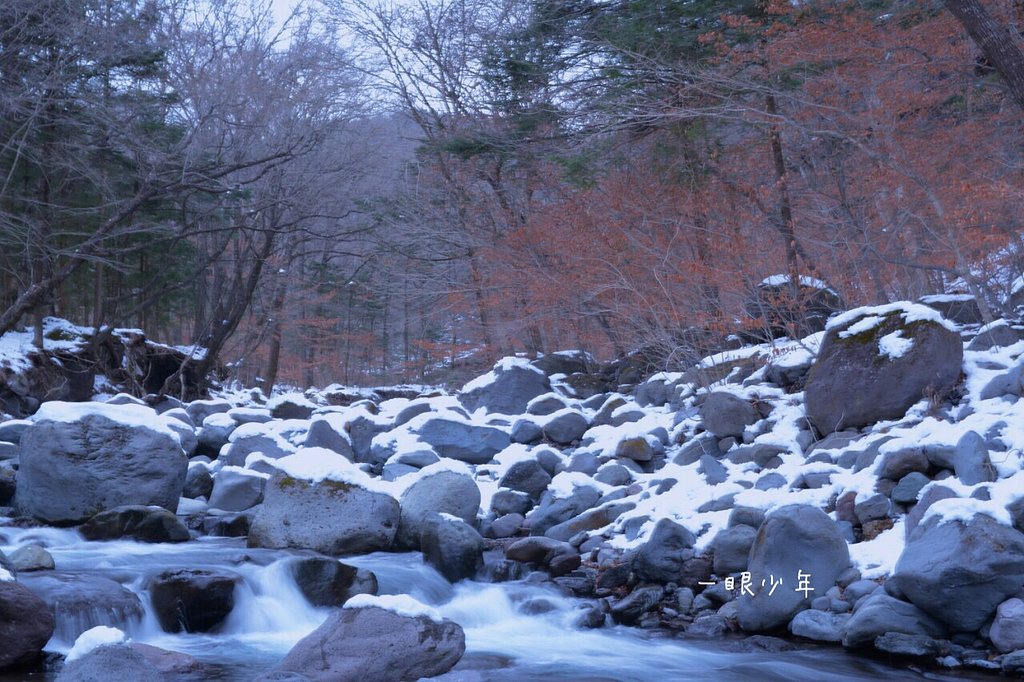 雪
