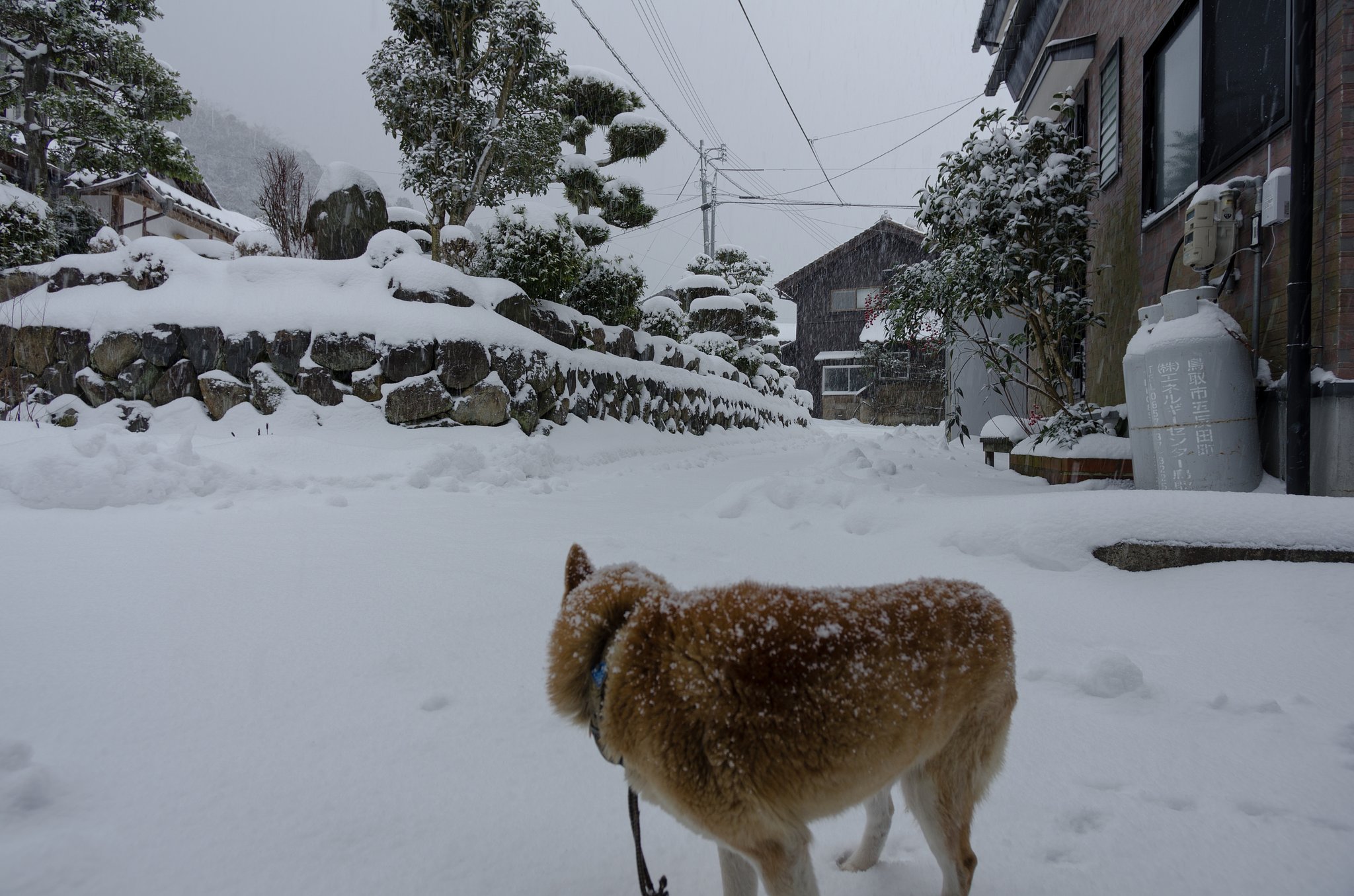 吹雪！