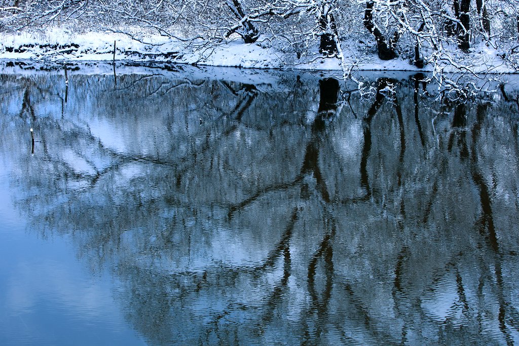 雪景を映す Ⅱ