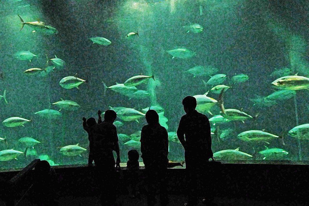 水族館