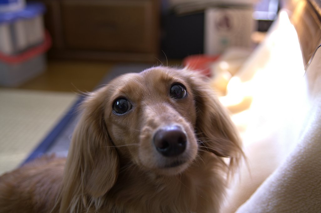 SIGMA28-70mmF2.8EX DG