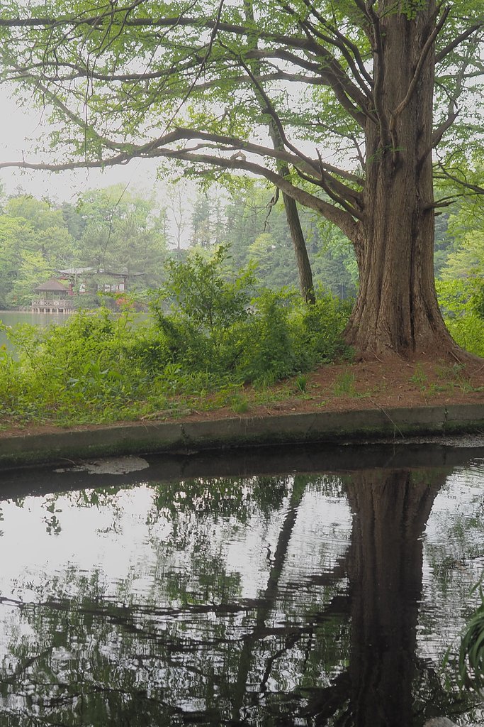存在感