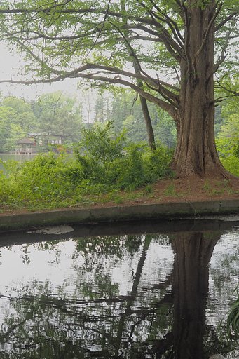 存在感