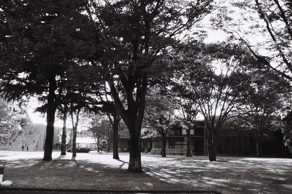 【フリー】モノクロフィルムの風景～光と影～