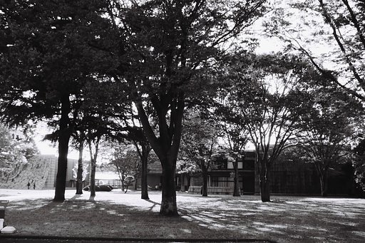【フリー】モノクロフィルムの風景～光と影～