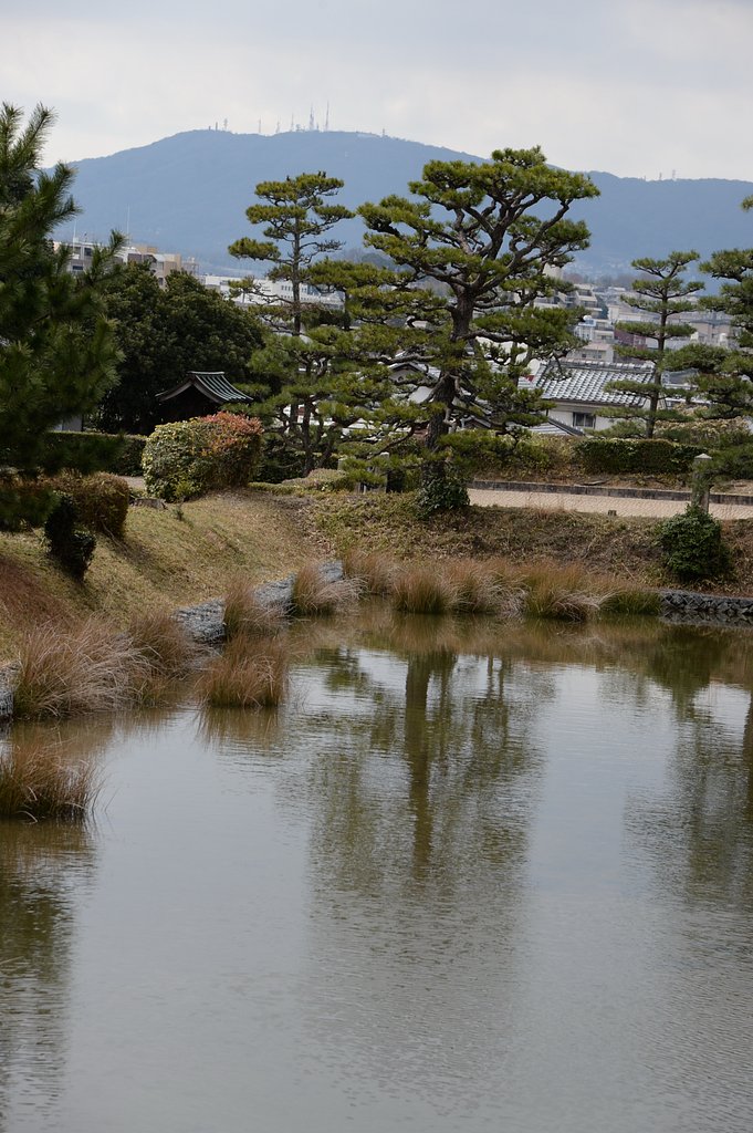 生駒山を望む