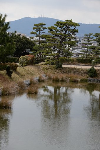 生駒山を望む