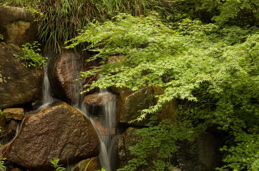 飛沫