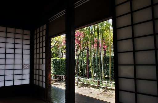庭の梅に・・・