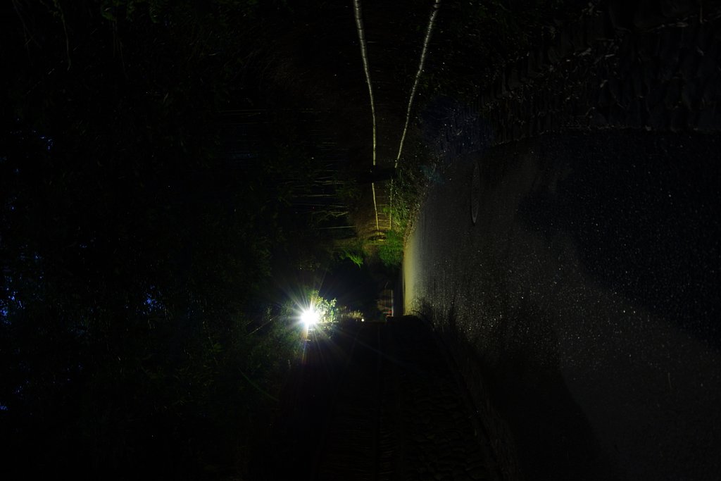 夜の小道