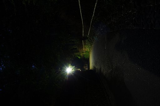 夜の小道