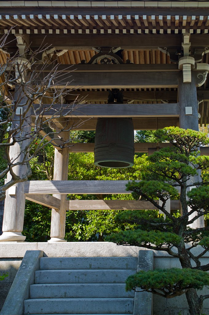 SUMMILUX-M 50mm F1.4 ASPH
