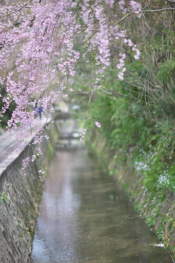 疎水の流れ