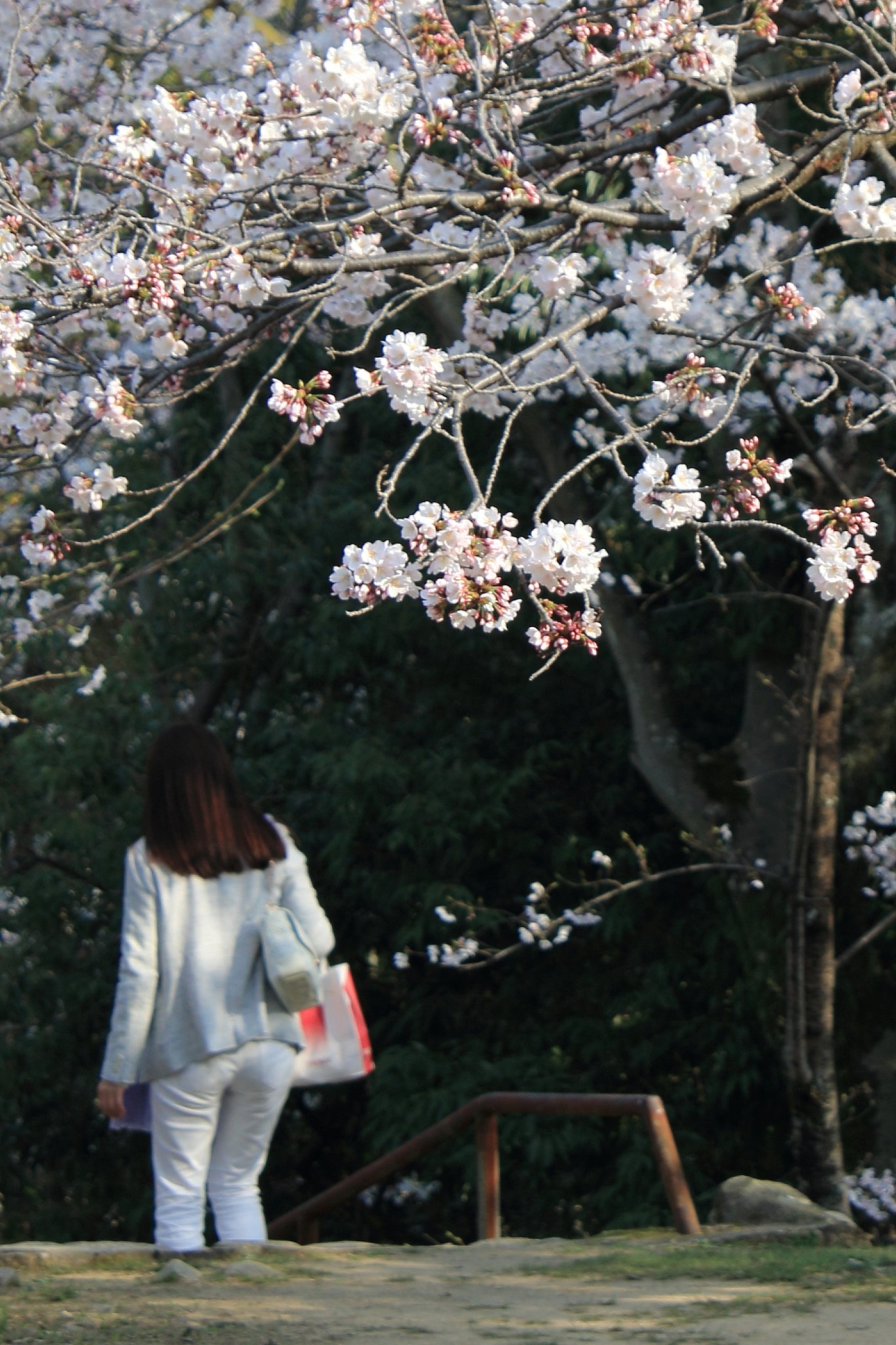 5月のお題は【美学】