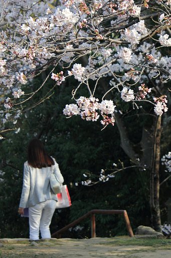 5月のお題は【美学】