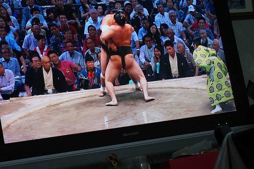 勝たり１１日目