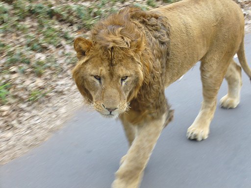 多摩動物公園に行ってきました！