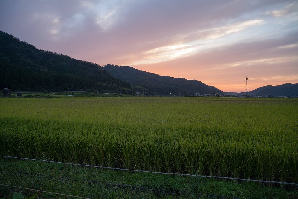 美しい夕焼けに!