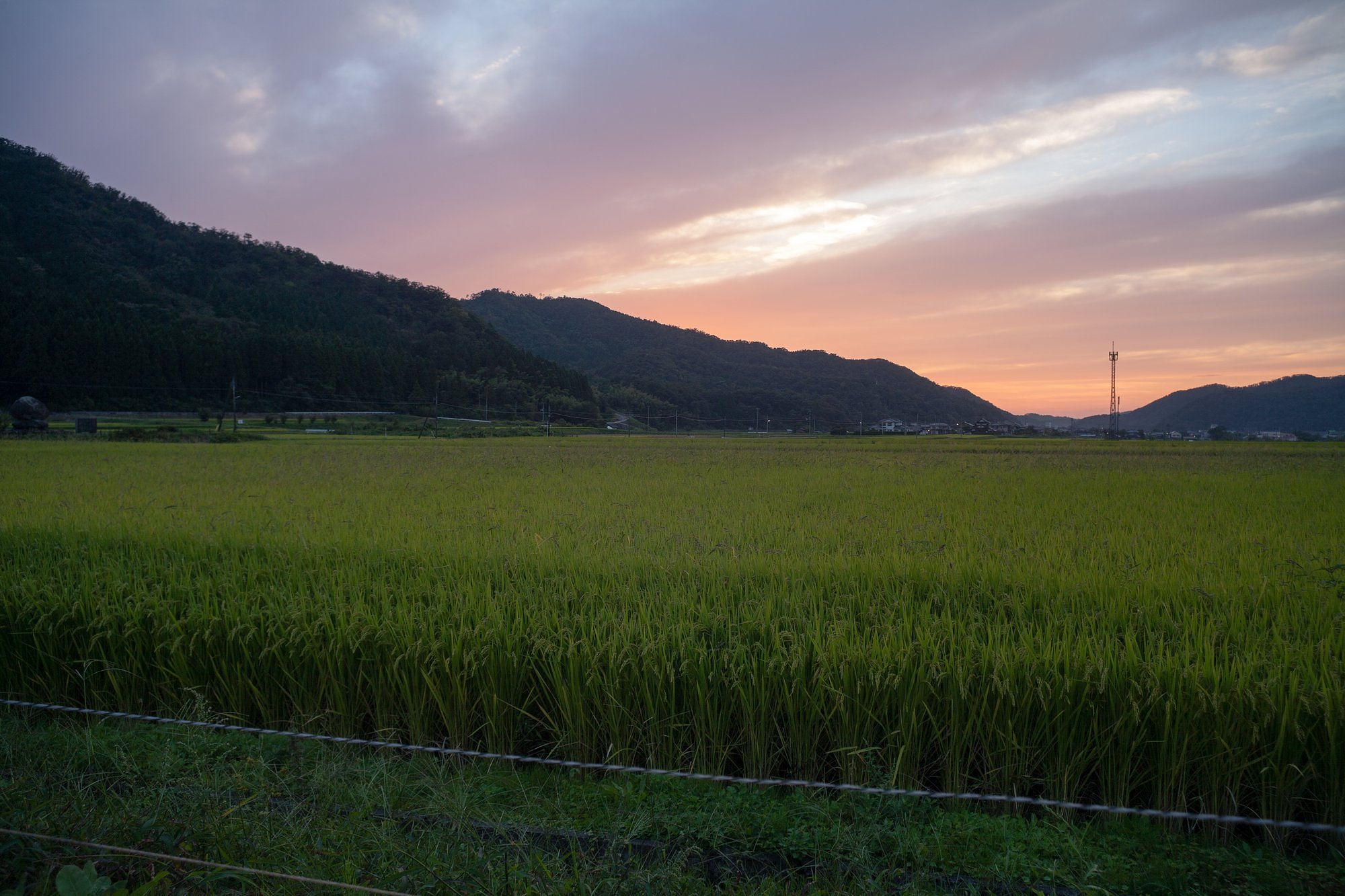 美しい夕焼けに!