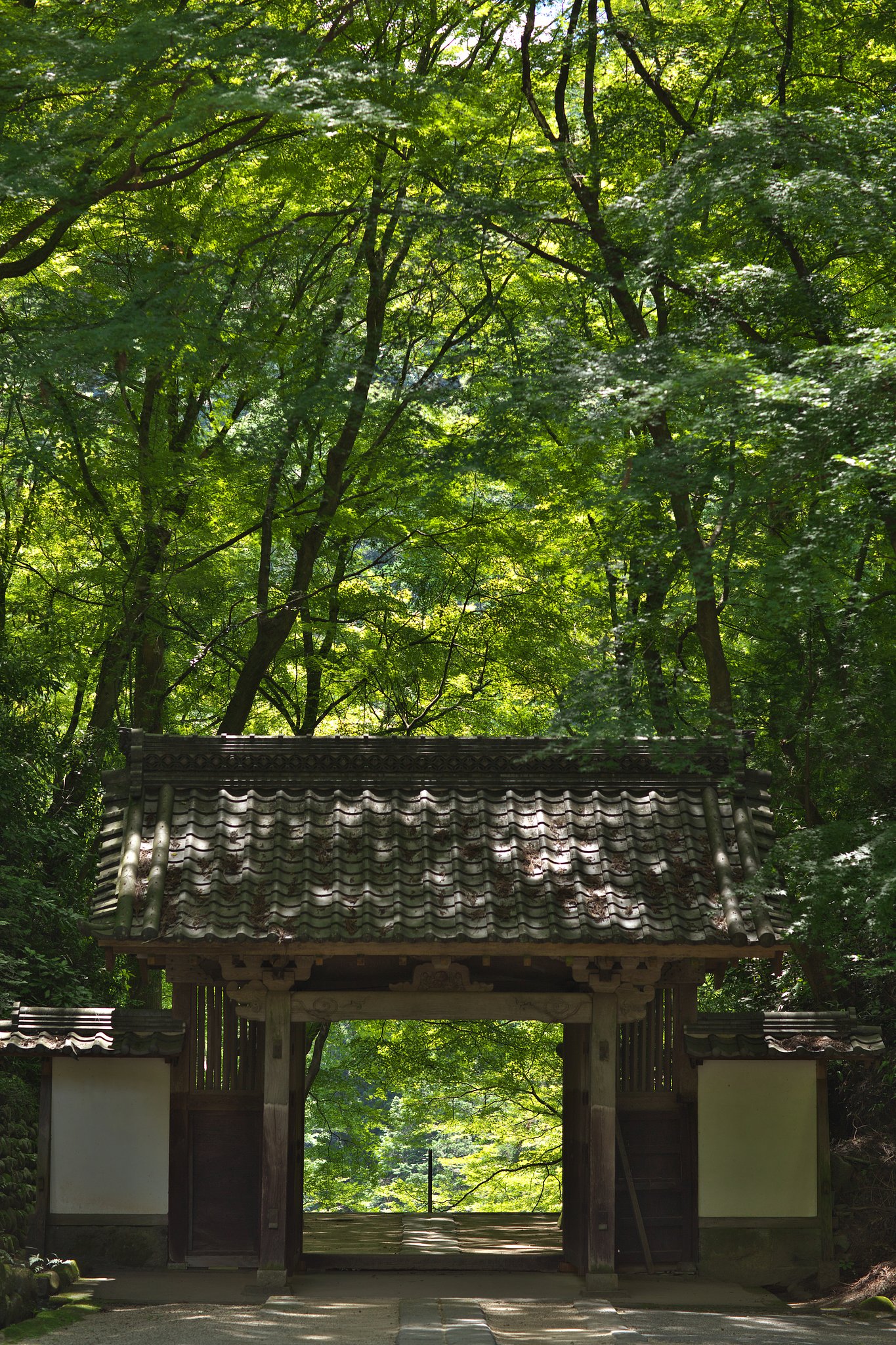 EF85 F1.2L