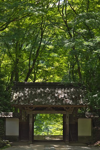EF85 F1.2L