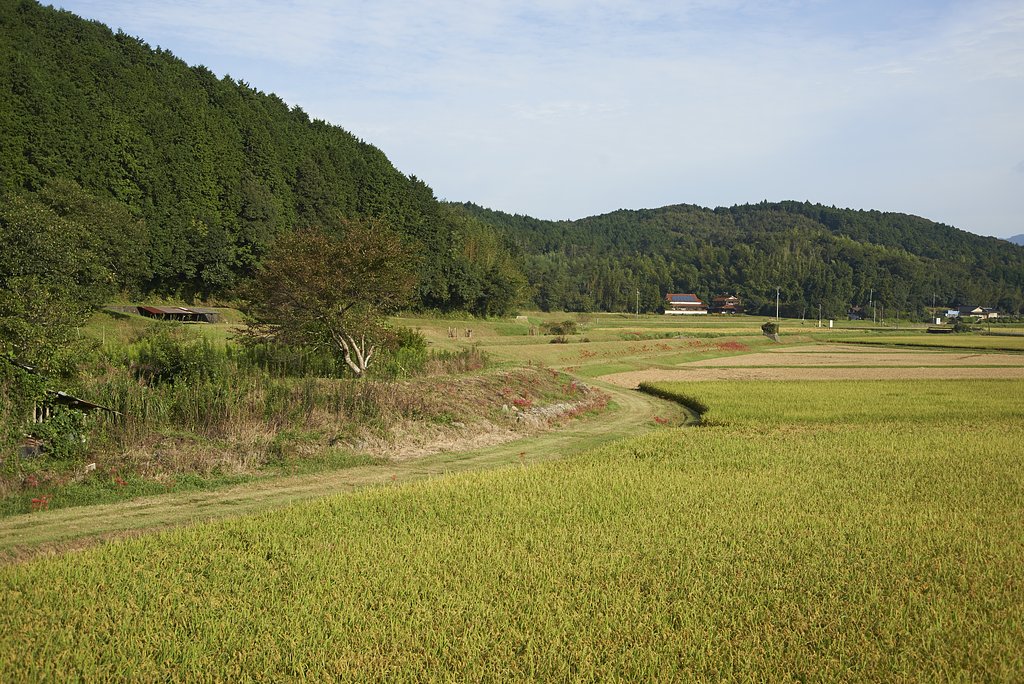 山口