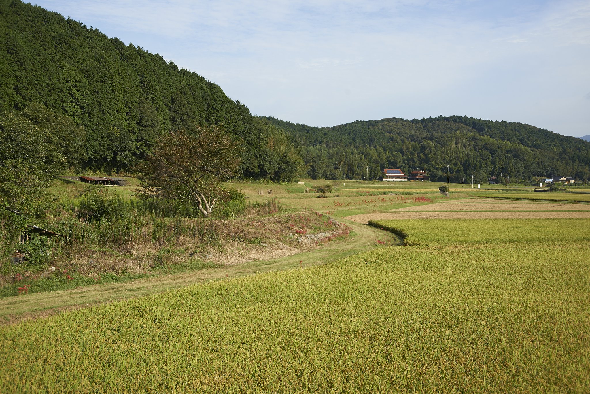 山口