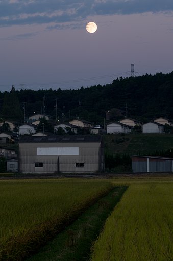名月や２