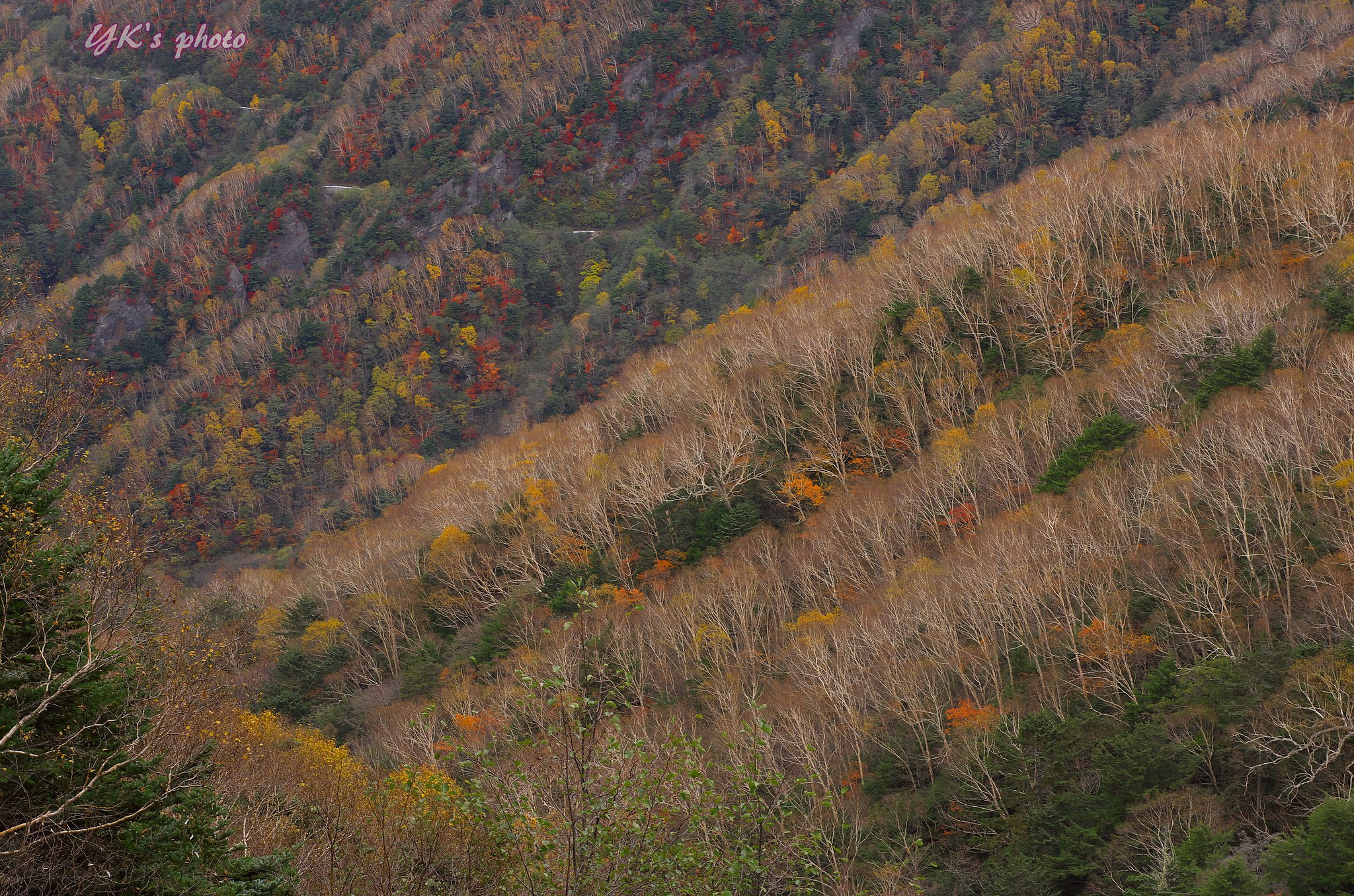 NOKTON 58mm f1.4 sl zk