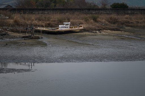河口