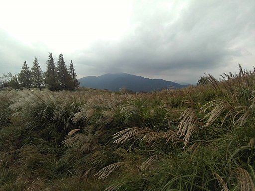 【春夏秋冬】風景